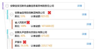 安徽信?；ヂ摼W金融信息服務有限責任公司 深耕互聯網信息服務，賦能區域金融創新